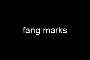 fang marks